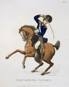 Volontario di cavalleria di Westminster, tavola 4 da 